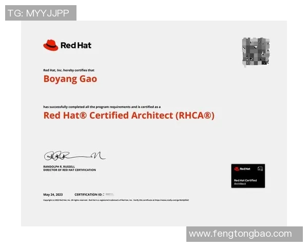 陈芳畅谈DOTA2职业生涯第十五赛季的挑战与成长之路